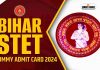 Bihar Stet Admit Card 2024