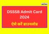 Dsssb Admit Card 2024