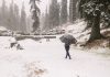 Snowfall In Jammu Kashmir 1