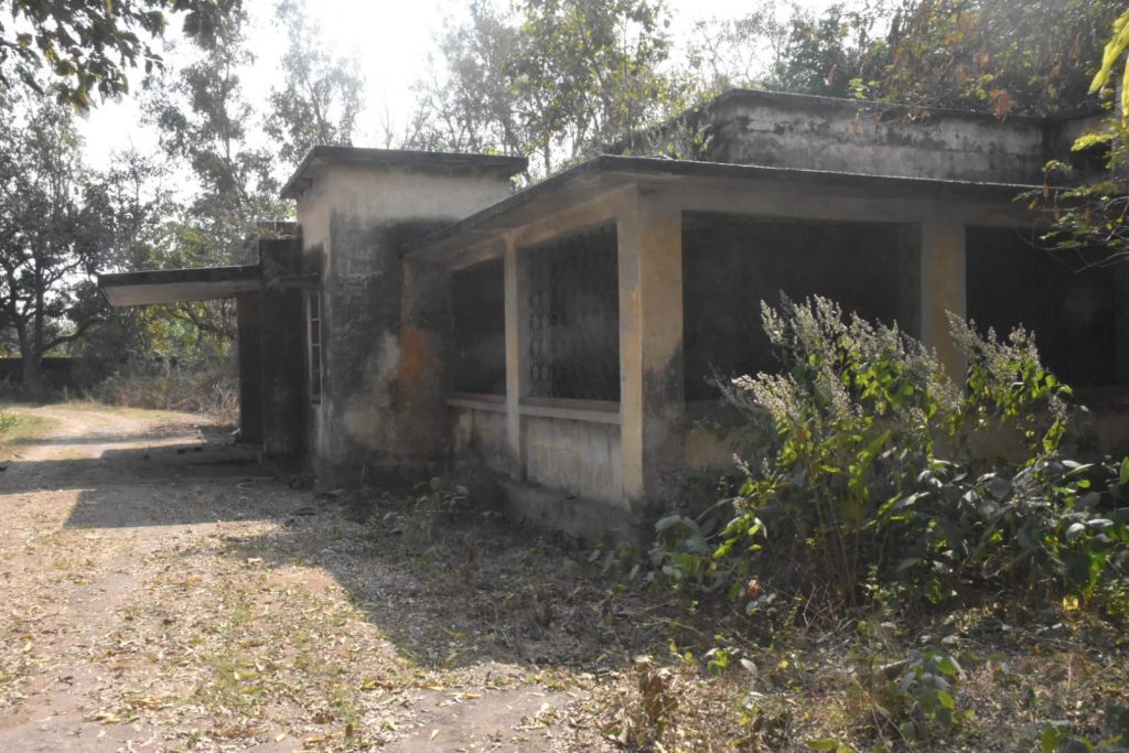 धनबाद : जमाडा के खंडहर हो चुके अस्पताल के बरामदे में टेबल पर हो रहा है लावारिस कुत्तों का बंध्याकरण 5 Whatsapp Image 2024 02 22 At 7.54.12 Pm