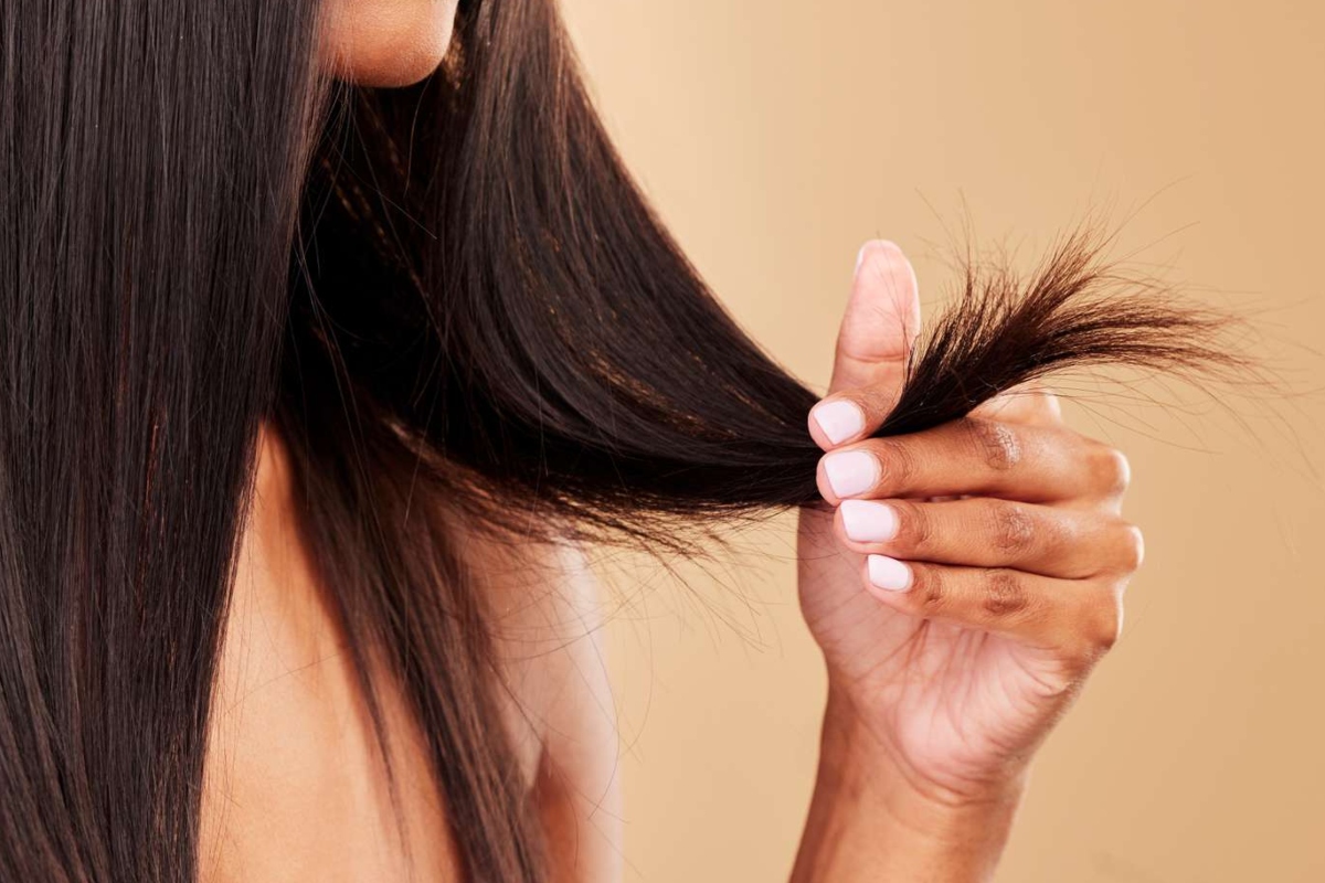Hair Care Tips: Adopt these home remedies for split ends