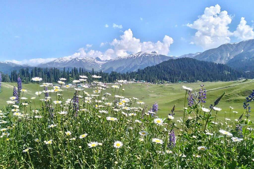 Places To Visit In Spring: बसंत के मौसम में घूमने के लिए बेस्ट हैं भारत की ये जगहें, खूबसूरती देख आप भी हो जाएंगे मंत्रमुग्ध 4 गुलमर्ग 1