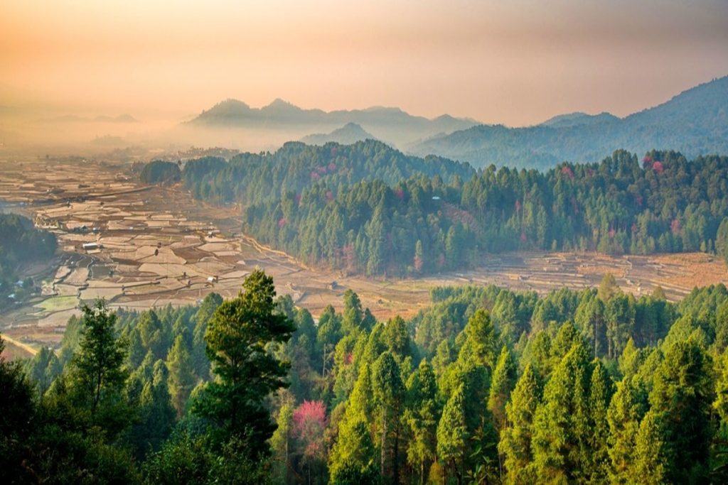 Places To Visit In Spring: बसंत के मौसम में घूमने के लिए बेस्ट हैं भारत की ये जगहें, खूबसूरती देख आप भी हो जाएंगे मंत्रमुग्ध 2 जीरो घाटी 3 2