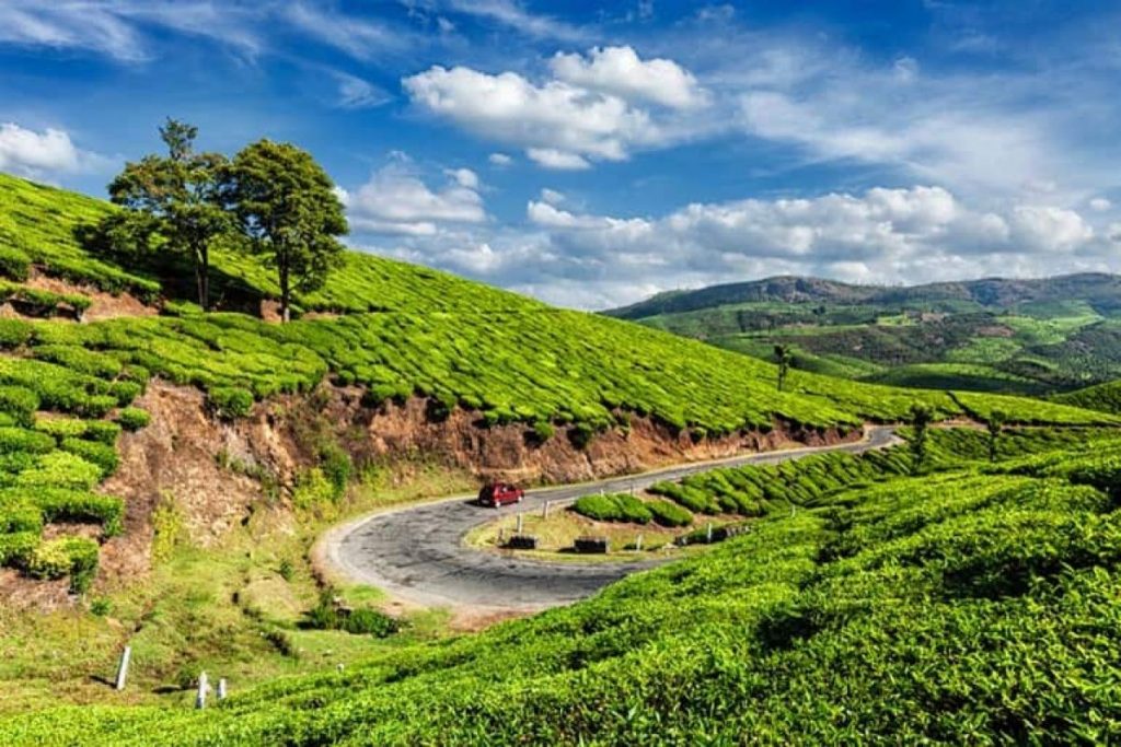 Places To Visit In Spring: बसंत के मौसम में घूमने के लिए बेस्ट हैं भारत की ये जगहें, खूबसूरती देख आप भी हो जाएंगे मंत्रमुग्ध 1 मुन्नार 1