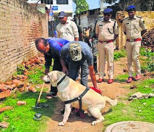 Bihar Crime : मुंगेर में जांच करती डॉग स्क्वाड की टीम