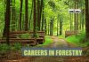 Career In Forestry