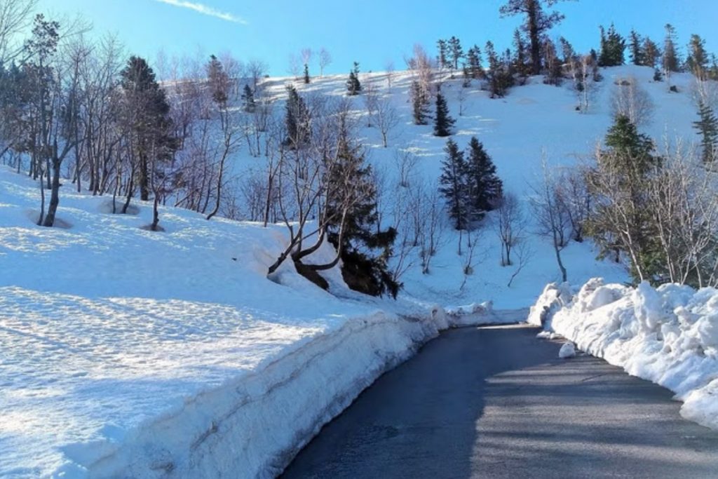 Himachal Pradesh Tourism: सूरज की तपिश तेज लग रही है तो आ जाएं यहां, मस्त मौसम के साथ करें इंज्वाॅय 3 Gulaba
