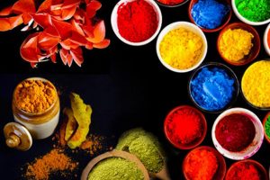 Herbal Colour For Holi