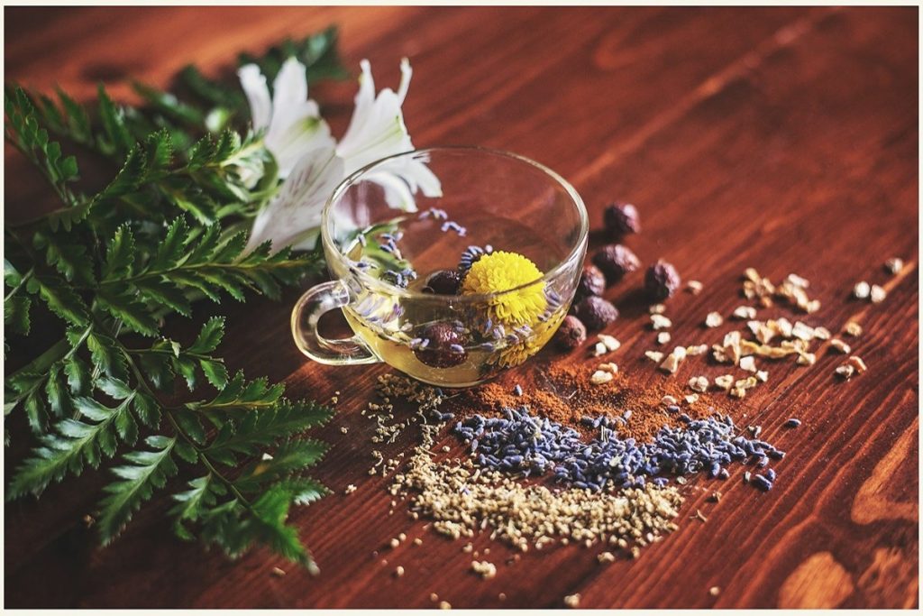 World Kidney Day 2024: किडनी को रखना है हेल्दी तो आज से ही पीना शुरू कर दें ये 5 ड्रिंक 3 Herbal Tea