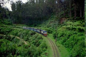Mettupalayam Ooty Nilgiri Passenger Train