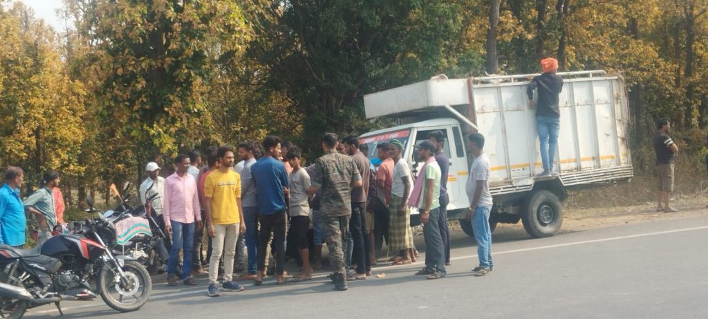 गिरिडीह : 15 पिकअप वैन से 125 से अधिक मवेशियों की हो रही थी तस्करी, 4 गिरफ्तार 1 Cow Smuggling In Giridih Jharkhand