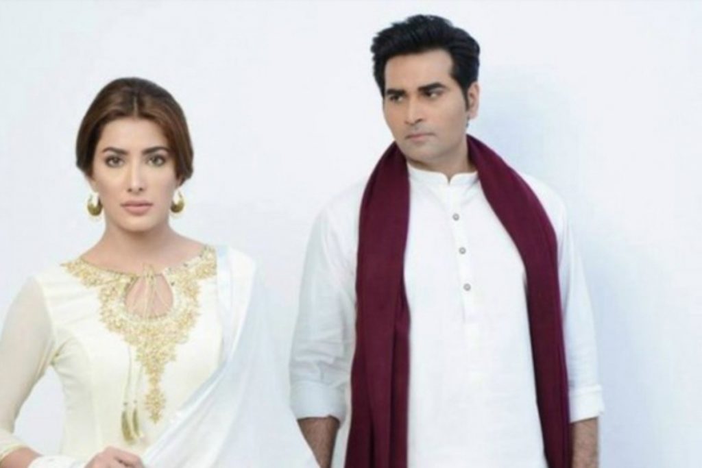 Pakistani Drama: इन पाकिस्तानी शोज के दीवाने हैं दर्शक, नहीं देखा तो यहां देखें फ्री में ये सीरियल्स 7 Dil Lagi