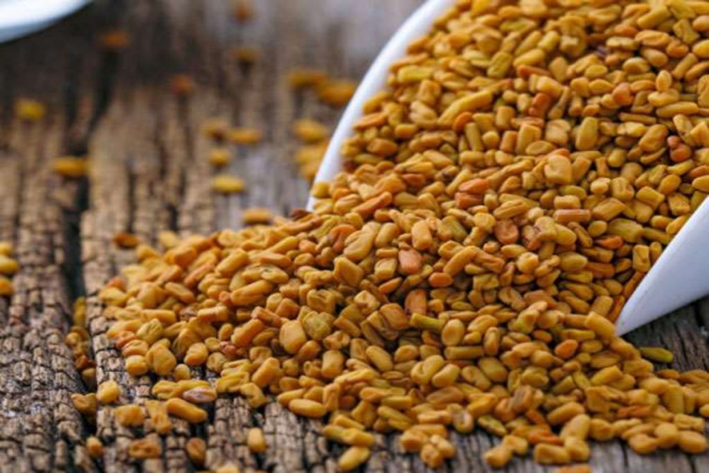 गंजे सिर पर भी उग जाएंगे बाल बस आपको करना है यह काम 3 Methi 1