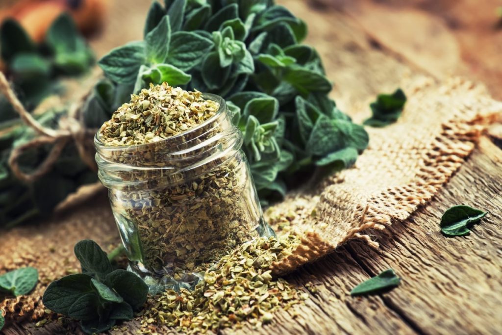 Health Tips: अपने खाने में रोजाना करें इन मसालों को शामिल, मिलेंगे जादुई फायदे 3 Oat Smoothie223533253454 4