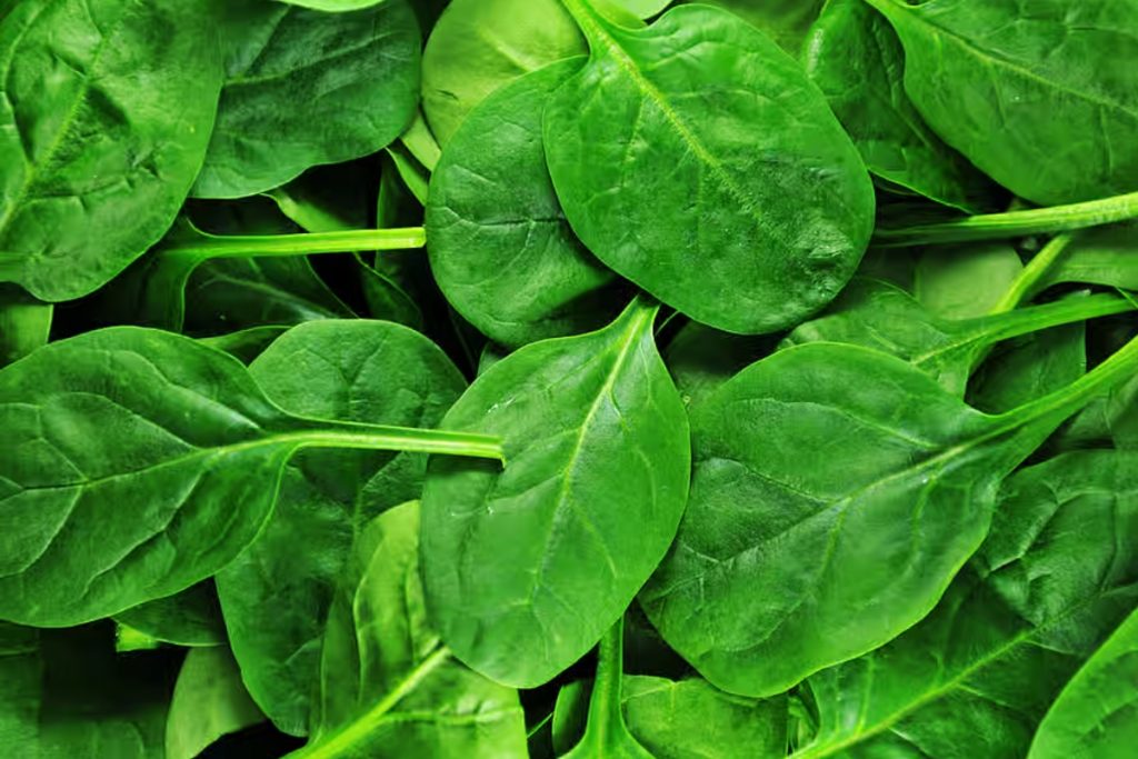 Superfoods For Muscle Gain: दुबले पतले शरीर के वजह से अक्सर बनता है आप का मजाक, तो अभी शुरू करें इन 7 सुपरफूड्स का सेवन 6 Prf123456