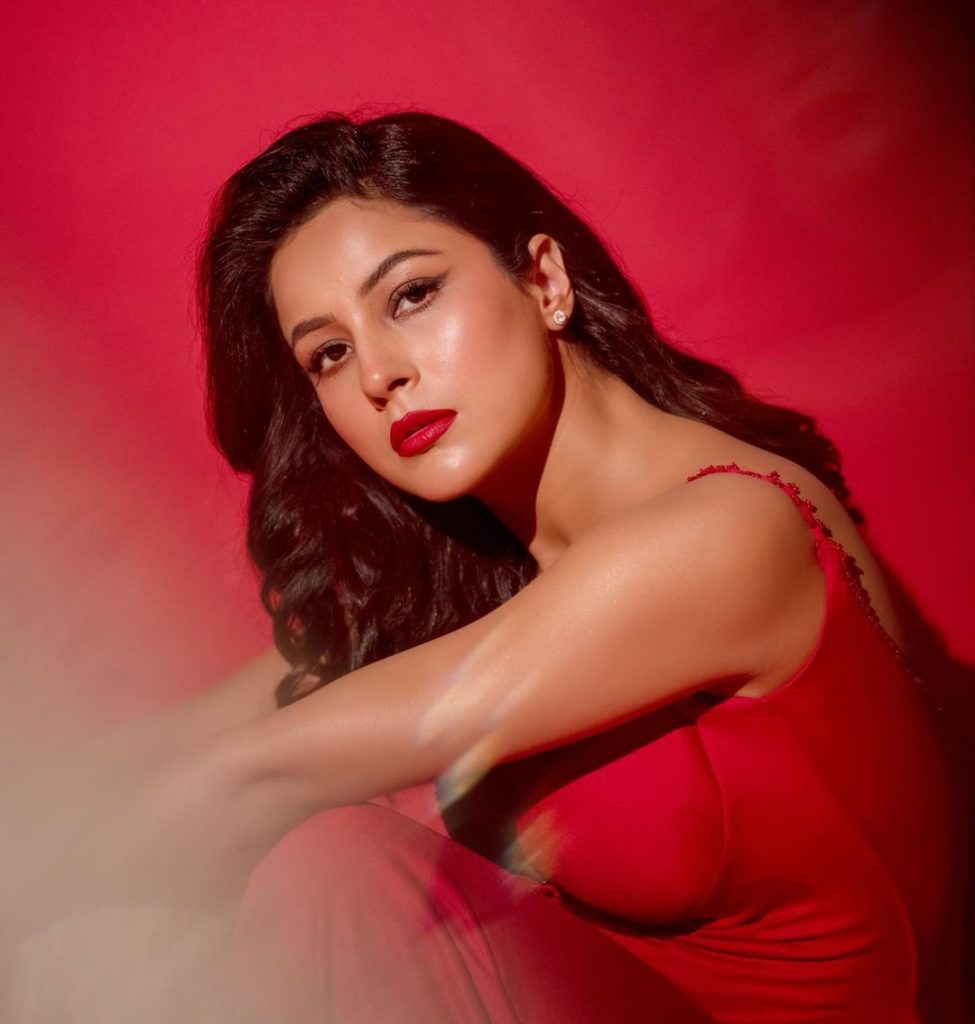 बिग बॉस 13 का ये पावर कपल है अनिल कपूर का फेवरेट, आप भी जानिए कौन है वो 2 Shehnaaz-Gill-1