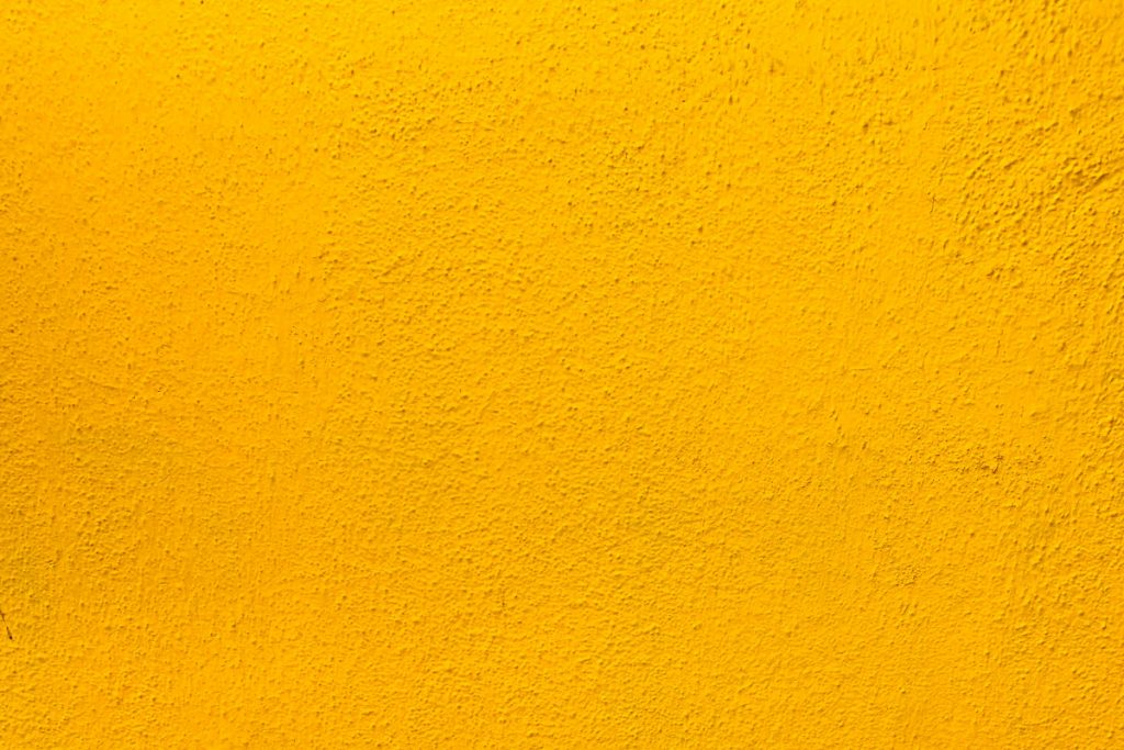 Holi 2024: अनोखी है रंगों की दुनिया, नवजात को सबसे पहले दिखता है लाल रंग 5 Yellow