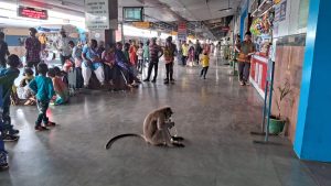ape at tatanagar railway station platform