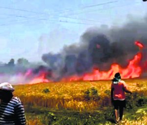 bihar news : मुंगेर और लखीसराय में आग का तांडव