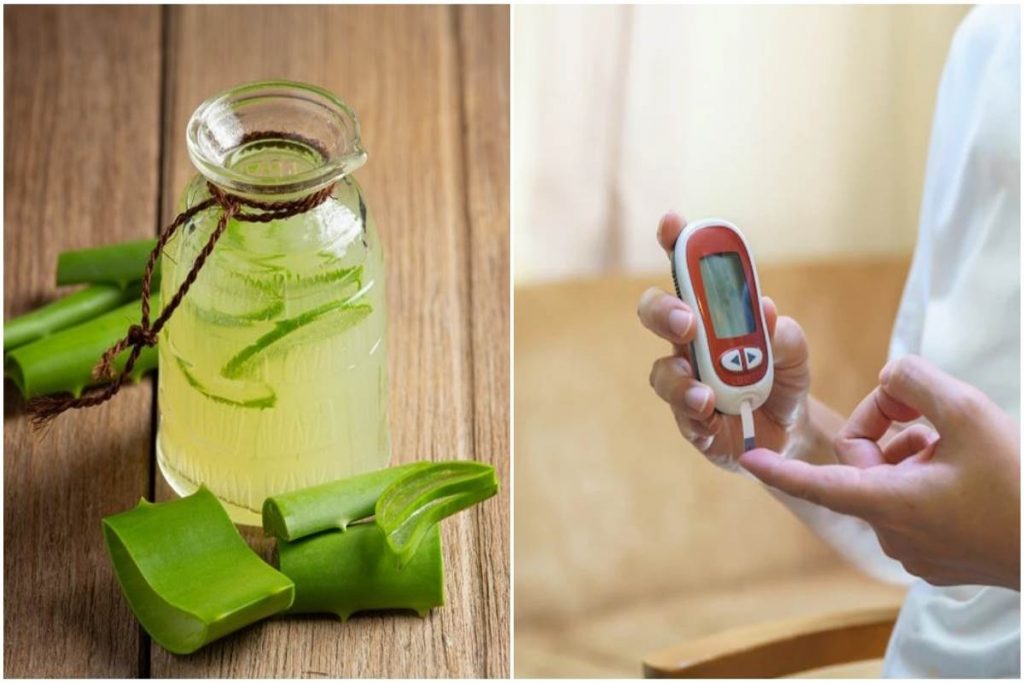 Health Tips: एलोवेरा का सेवन कर दूर करें ये गंभीर बीमारियां 2 Aloe Vera Diabetes