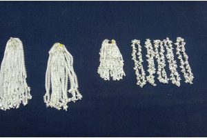 Smuggler arrested with one kg silver jewelery hidden in e-scooty BSF