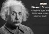 Bizarre News: अल्बर्ट आइंस्टीन की आंखें और दिमाग हैं अब तक सुरक्षित