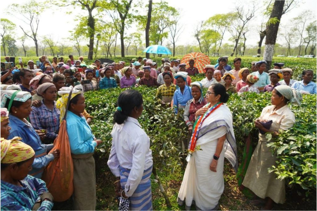 Mamata Banerjee : जलपाईगुड़ी में ममता बनर्जी ने चाय पर की चर्चा 1 Mamata Banerjee 26