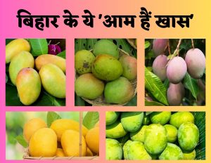 ‍Bihar Special Mango's