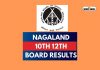 Nagaland Board Result 2024