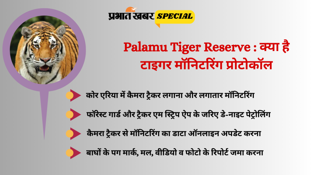पर्यटकों को नहीं हो पाता है दीदार, केवल कैमरे में क्यों दिखते हैं पलामू टाइगर रिजर्व के बाघ? 2 Tiger Monitoring Protocol