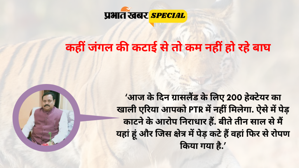 पर्यटकों को नहीं हो पाता है दीदार, केवल कैमरे में क्यों दिखते हैं पलामू टाइगर रिजर्व के बाघ? 5 Ptr