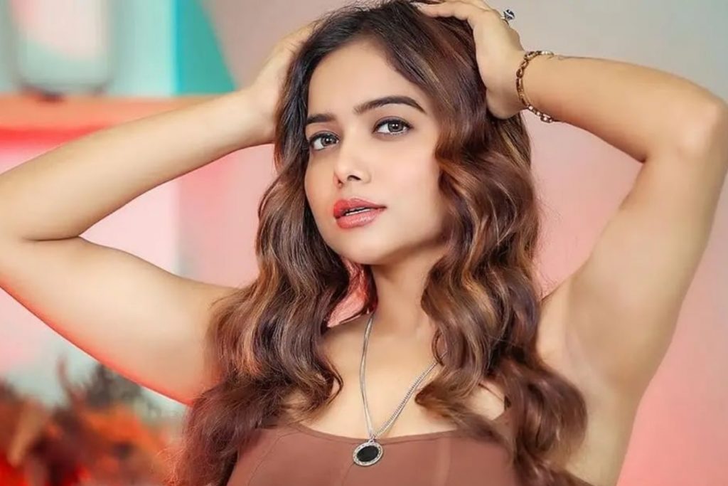 बिग बॉस ओटीटी 2 के बाद इन स्टार्स की चमकी किस्मत, खरीदी ये महंगी चीजें 3 Manisha Rani