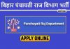 Bihar Panchayati Raj Vibhag Recruitment 2024
