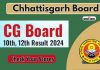 Cgbse Cg Board 10Th 12Th Result 2024