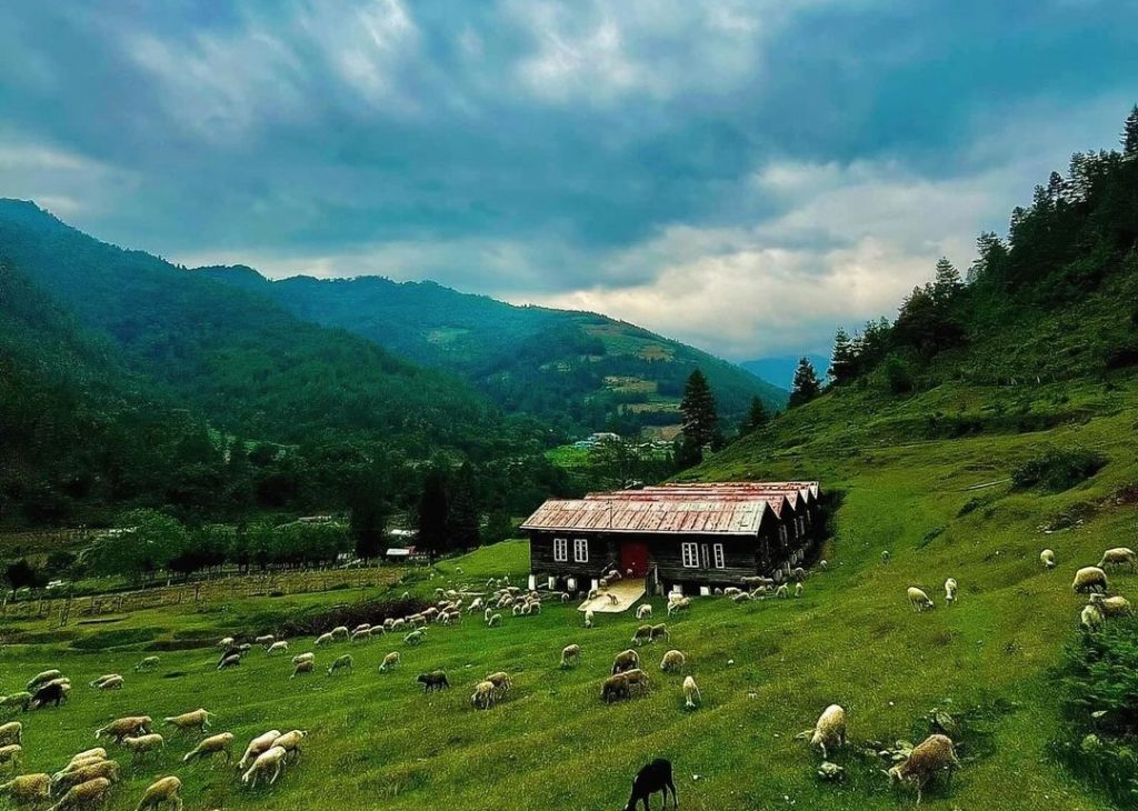 Northeast India: अरुणाचल प्रदेश की दिरांग घाटी, जहां जाकर अटक जायेगा दिल, चारों तरफ दिखती है हरियाली 2 Sangti Valley