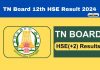 Tn 12Th Hse +2 Result 2024