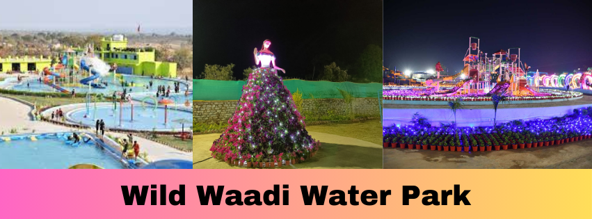 Ranchi की गर्मी से हैं परेशान तो बच्चों के साथ लगाएं इस वाटर पार्क में डुबकी 3 Wild Waadi Water Park