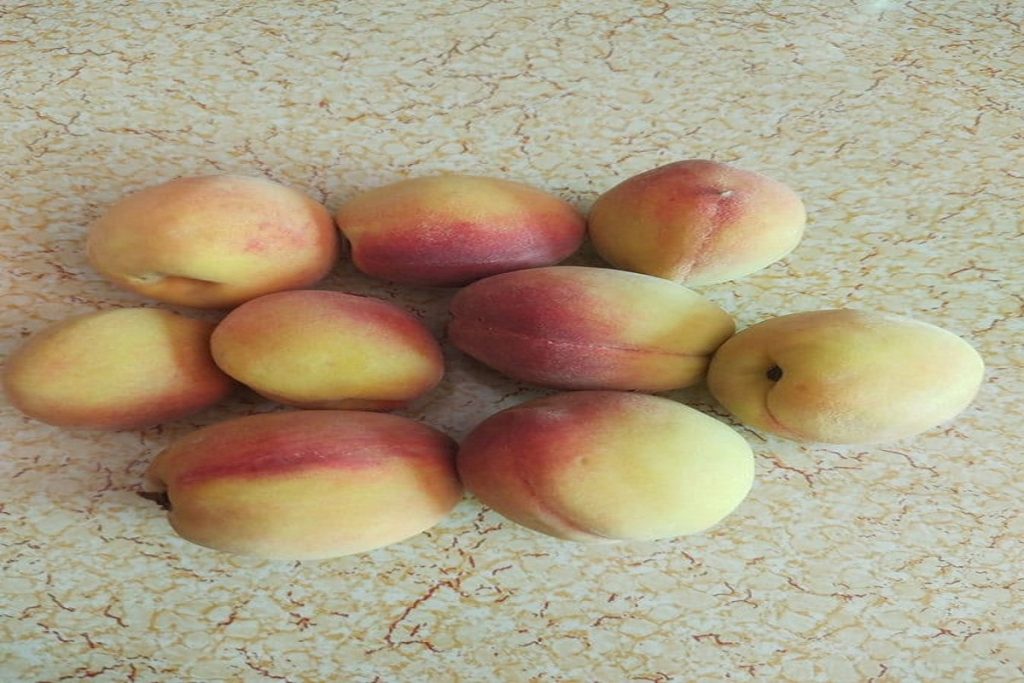 Fruits For Diabetes : ब्लड शुगर कंट्रोल करने के लिए छिलके सहित खाएं ये फल, डायबिटीज से मिलेगी राहत 2 Aadu Fruits