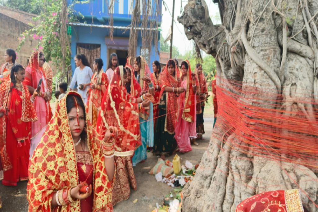 Vat Savitri 2024: झारखंड में सुहागिन महिलाओं ने ऐसे की वट सावित्री की पूजा, देखें तस्वीरें 3 Vat Saviti