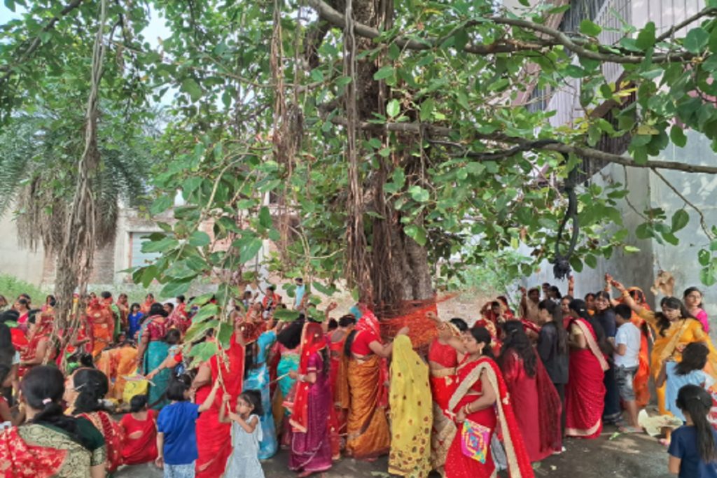 Vat Savitri 2024: झारखंड में सुहागिन महिलाओं ने ऐसे की वट सावित्री की पूजा, देखें तस्वीरें 1 Vat Savitri