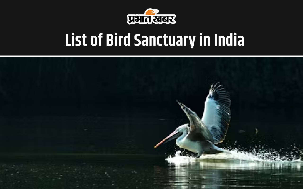 List of Bird Sanctuary in India