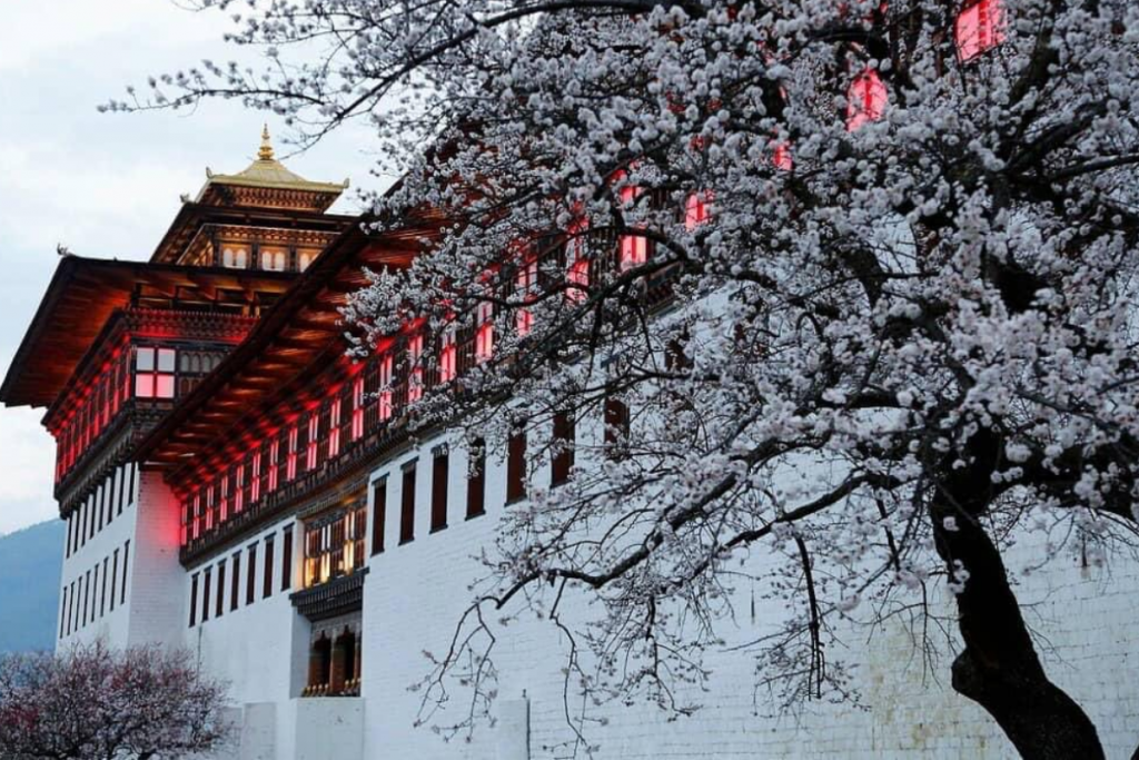 Bhutan:विदेश जानें का है मन तो जरूर विजिट करें धरती का सबसे अलग देश भूटान 3 3. Thimphu