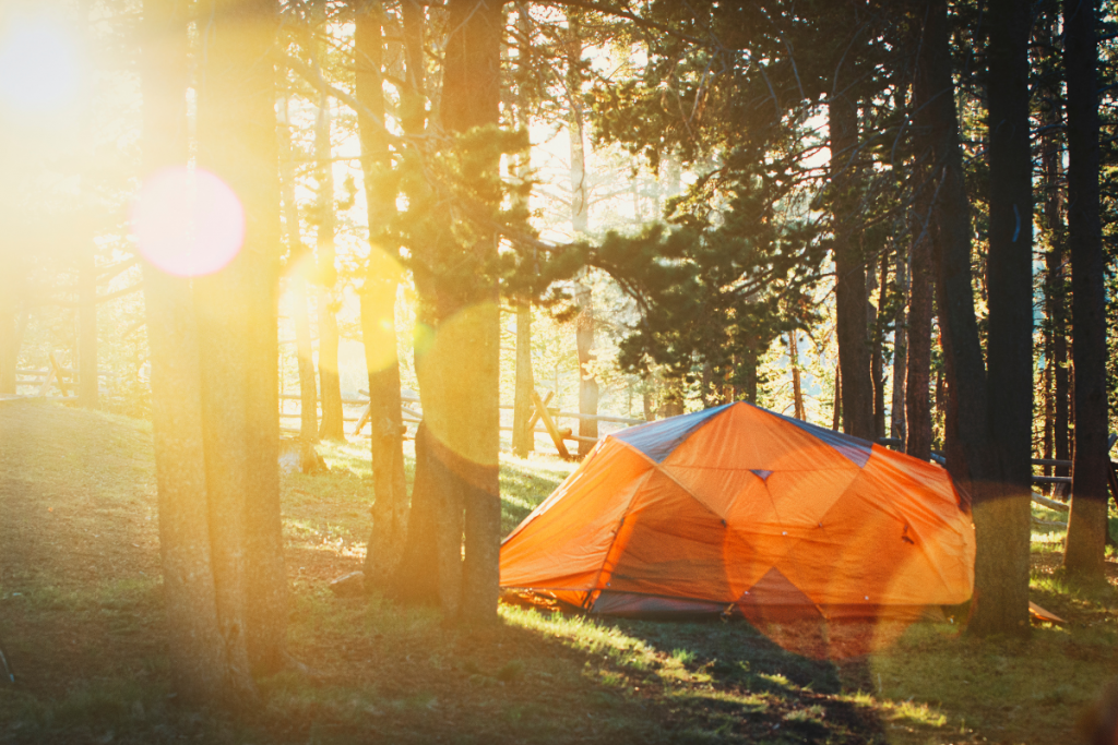 Maharashtra Tourism: इगतपूरी है मुंबई का एक अनोखा हिल स्टेशन 6 Adventure Camp