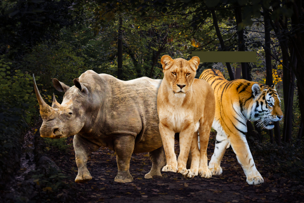 West Bengal Tourism: डुआर्स में प्रकृति के साथ जुड़ने मिलेगा मौका 2 Jungle Safsri