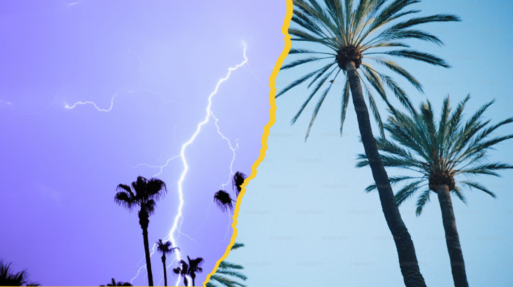 Palm Tree: जानें कैसे ताड़ के पेड़ प्रकृति और प्रौद्योगिकी का संयोजन कर जीवन बचाते हैं 1 Unesco World Heritage Sites In India 7