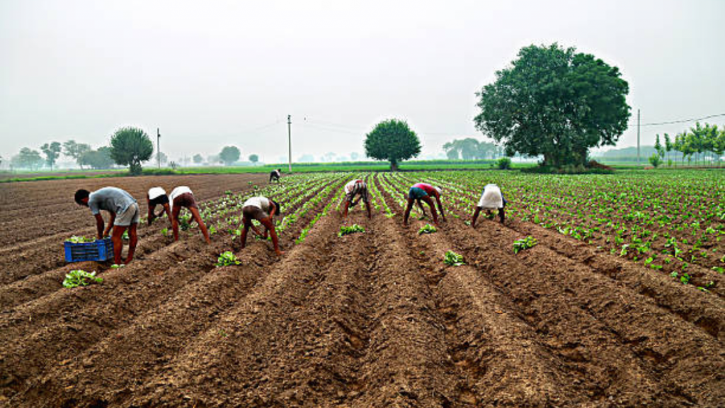 Natural Resources: पीसीएस या अन्य प्रतियोगी परीक्षाओं में इससे पूछे जाते हैं प्रश्न 1 Untitled Design 21 1