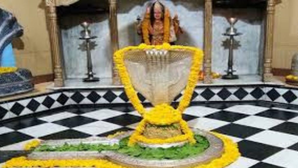 Dwadash Jyotirling: सावन में द्वादश ज्योतिर्लिंग के मात्र नाम लेने से सभी कष्ट होते है दूर, जानें बारह ज्योतिर्लिंगों के दर्शन करने का शुभ फल 10 Untitled Design 9 6
