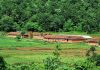Jharkhand Weather: झारखंड में मॉनसून सुस्त, आज कई इलाकों में बारिश के आसार, जानें अगले 4 दिनों तक कैसा रहेगा मौसम Jharkhand Weather Jamshedpur 1