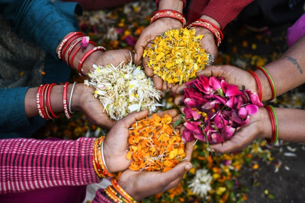 Floral Waste से आप भी शुरू कर सकते है व्यापार, जानिए कैसे मिल रहा सर्कुलर इकॉनमी को बढावा 1 Nn