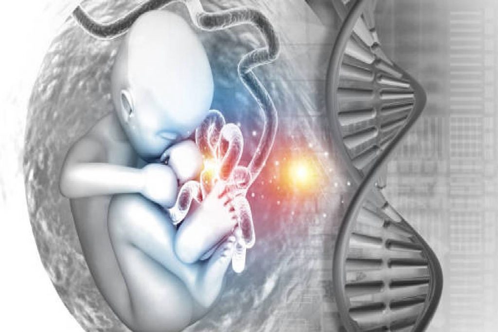 Y Chromosome: अब धरती पर पैदा नहीं होंगे लड़के, केवल लड़कियां लेंगी जन्म! रिसर्च ने मचाई सनसनी, जानें क्या है सच्चाई 1 New Project 2024 08 29T110931.852